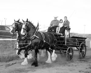 Dawson Creek Exhibition