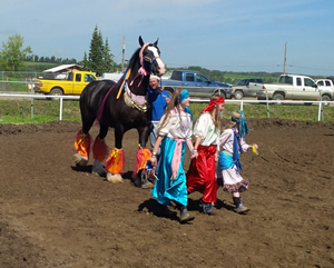 Delight and the Gypsy Girls